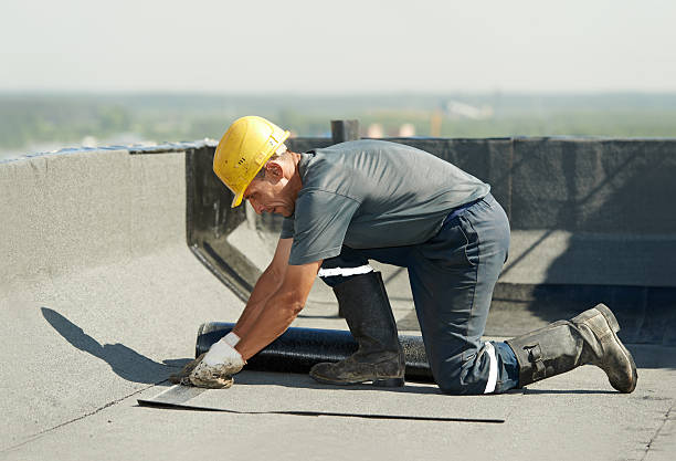 Best Residential Insulation in Perry Heights, OH