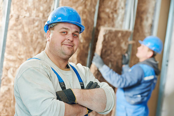 Best Geographic-Specific Insulation Services in Perry Heights, OH
