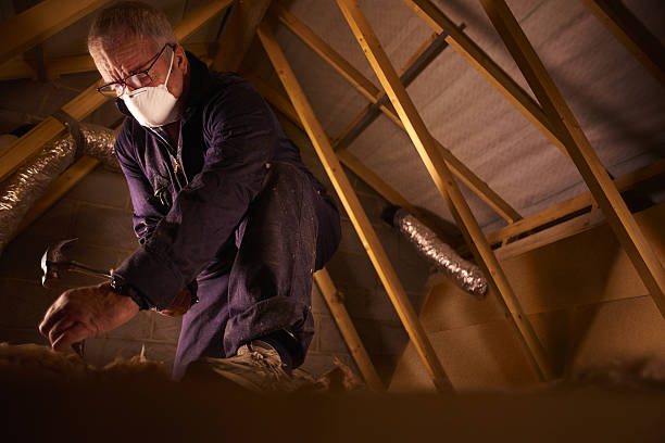 Best Insulation Maintenance and Repair in Perry Heights, OH